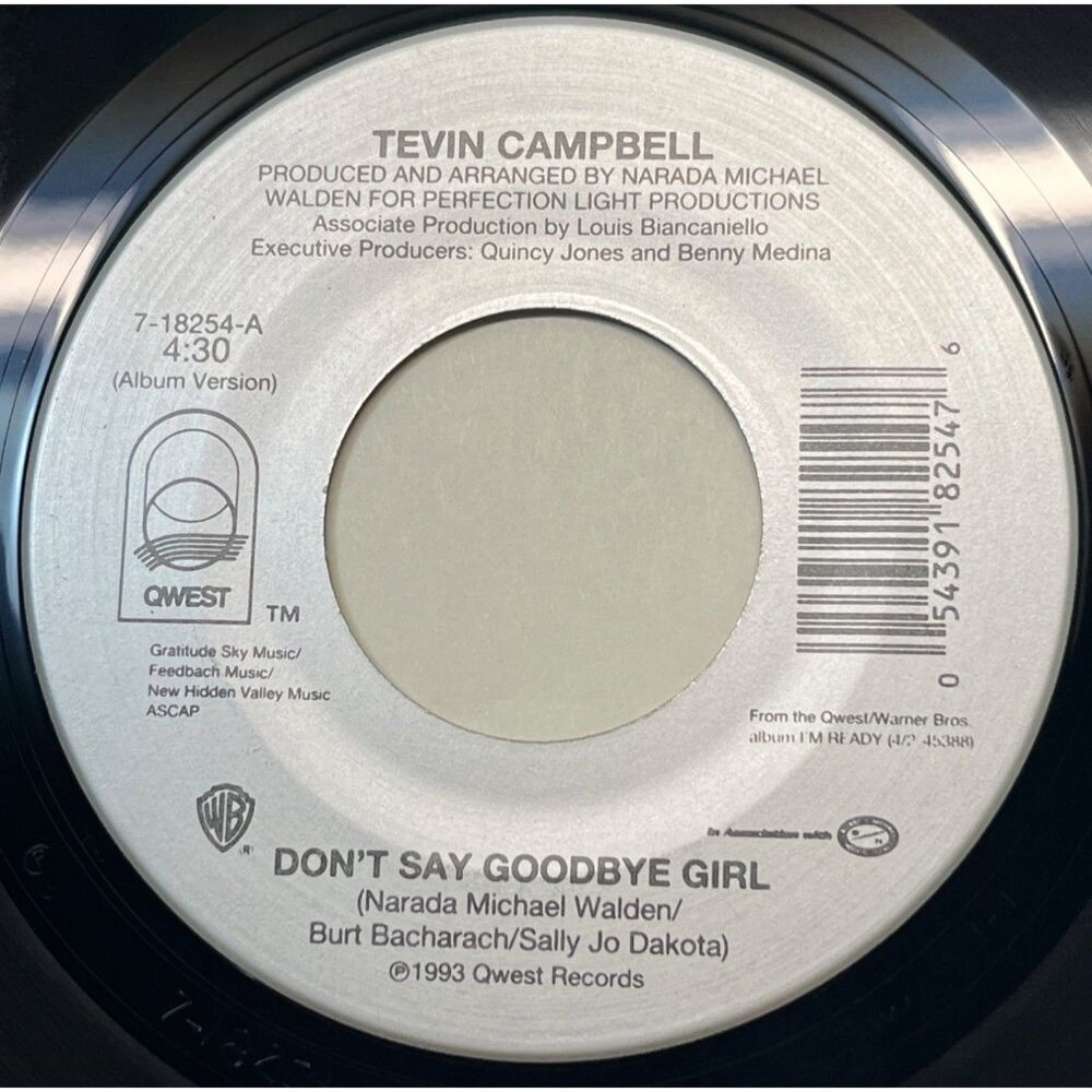 Tevin Campbell Dont Say Goodbye Girl / The Halls of Desire 45 Vinyl 90s Soul
